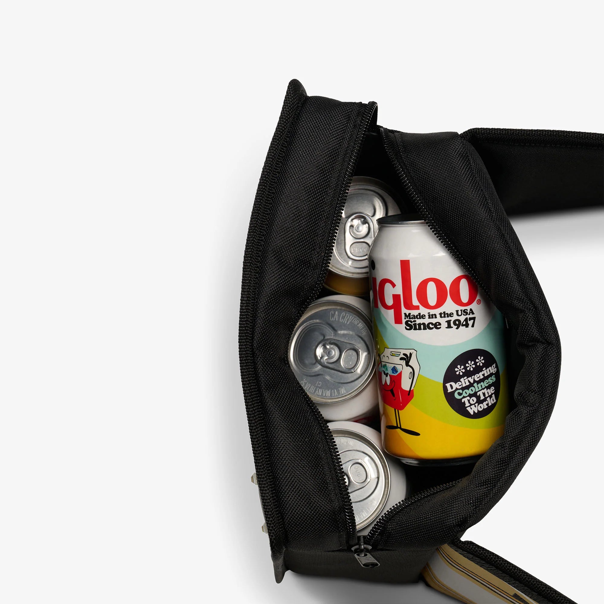 Igloo Insulated Cooler Durable Cooler NFL WWE Cooler Fanny Pack - Image 46