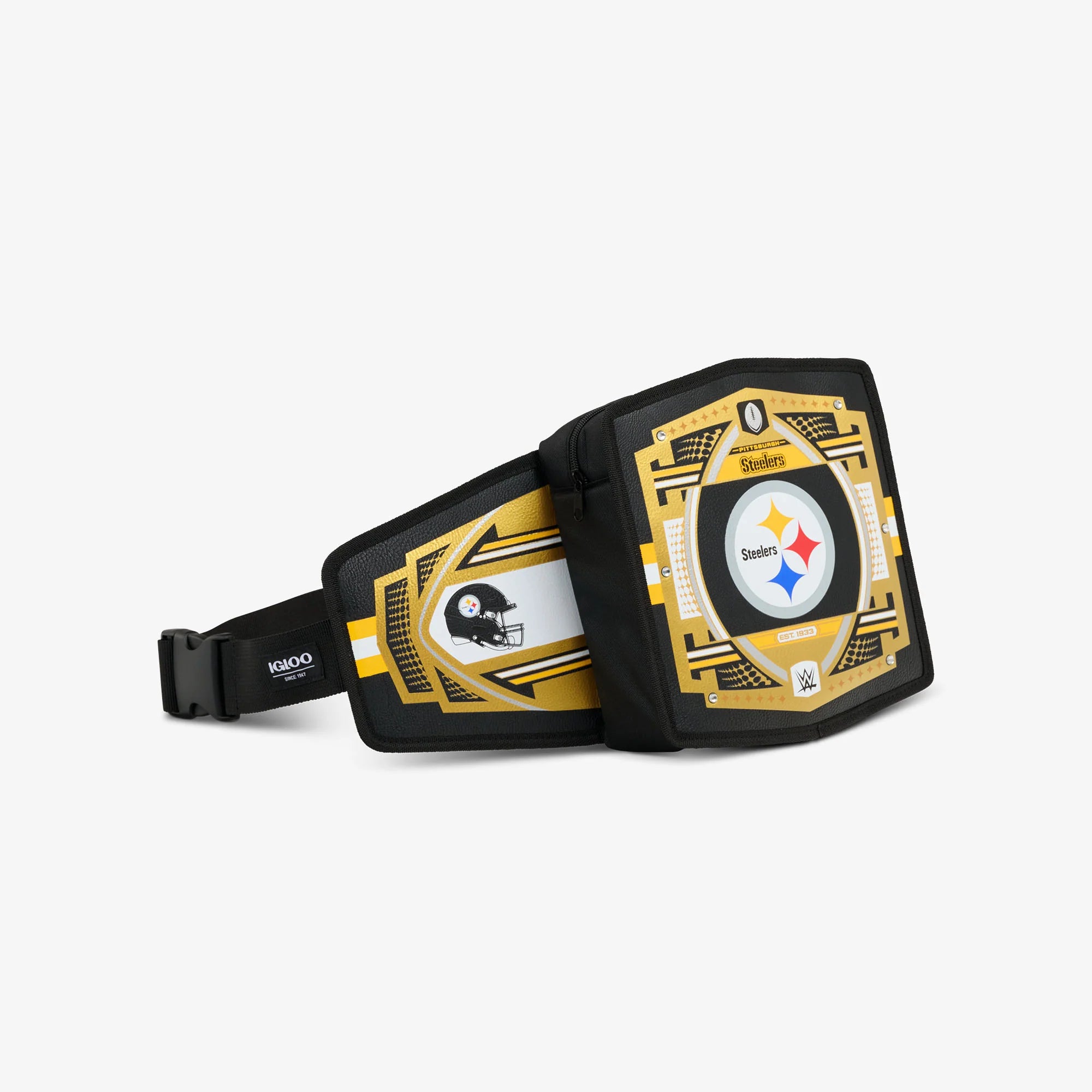 Igloo Insulated Cooler Durable Cooler NFL WWE Cooler Fanny Pack - Image 48